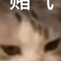梗圖收集地