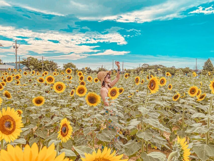 桃園景點 2022桃園景點》推薦25個桃園必去景點！桃園一日遊好好玩，假日約會、連假出遊這樣玩 2 2022