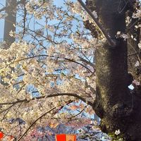 BF千葉ベース 新歓グループ