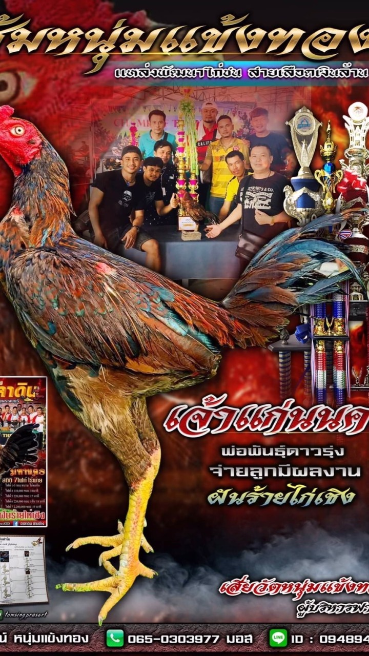 Fc หนุ่มแข้งทอง