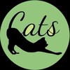 Swingin'Cats J.O. 2024新歓