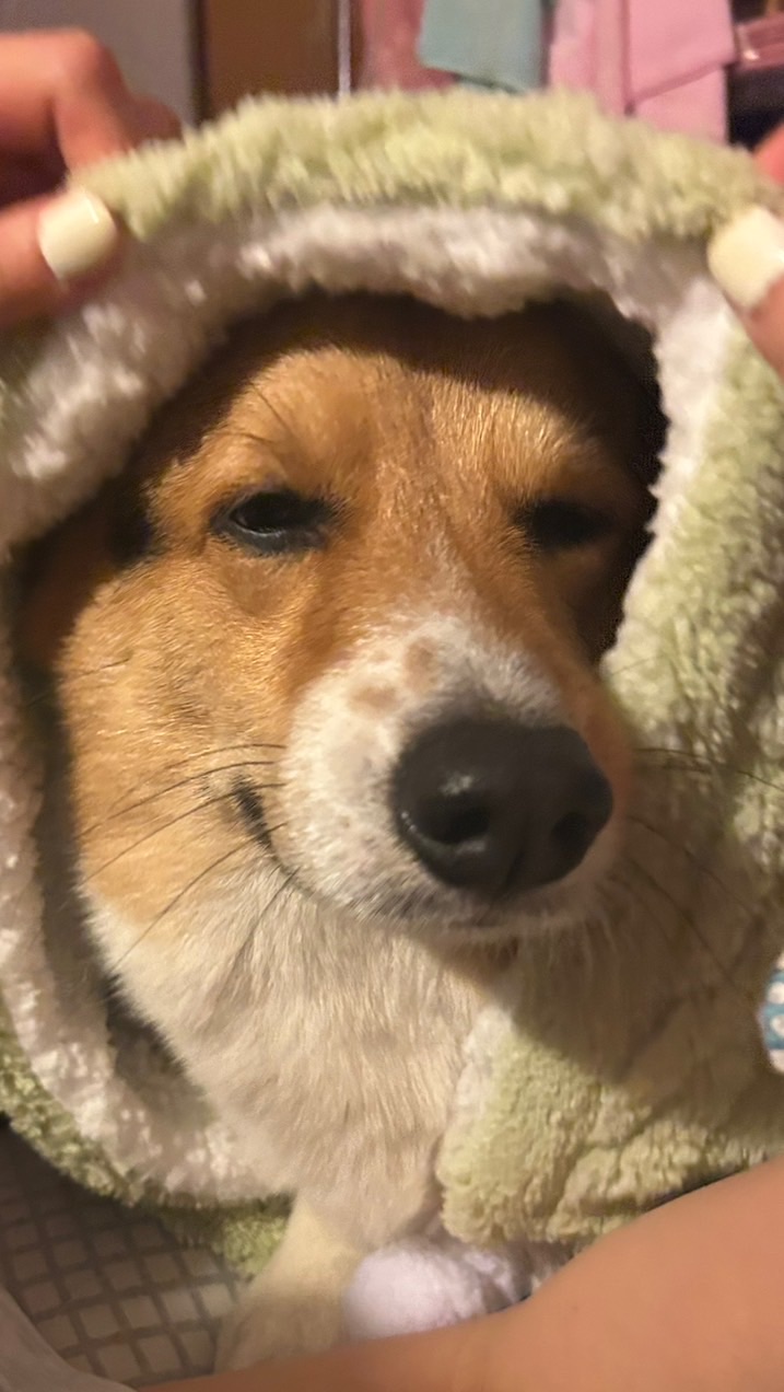 Biod賣場🌟