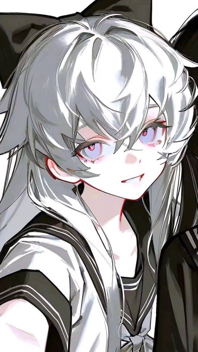 邪惡的白紙貓貓教會