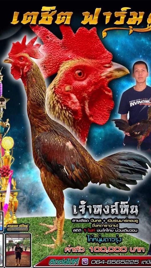 ซุ้ม เตชิตฟาร์ม
