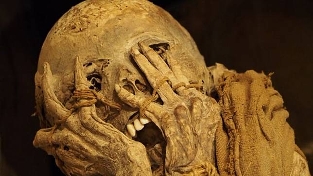 Image result for Mumi Menjerit