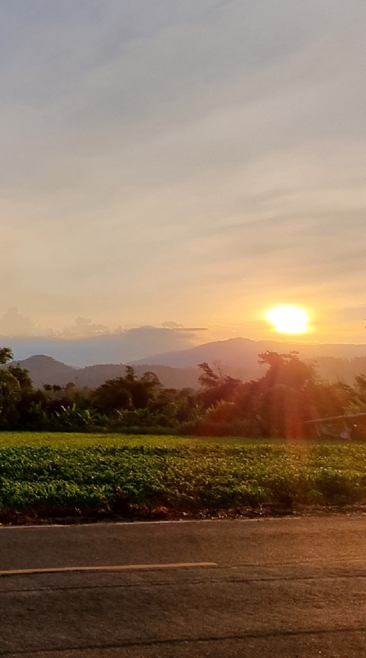 lampafarm