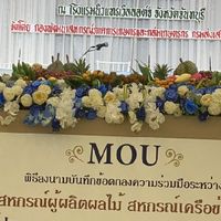 สหกรณ์นิคมวังไทร จำกัด