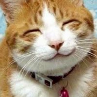 強制になって離れ離れになってしまった方々の集まる、30才以上の方々のお部屋です。