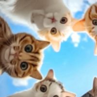 強制になって離れ離れになってしまった方々の集まるお部屋です。障がい者、健常者同士仲間の再会を大切に