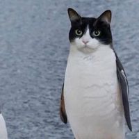 TWICE@キングダム頂天