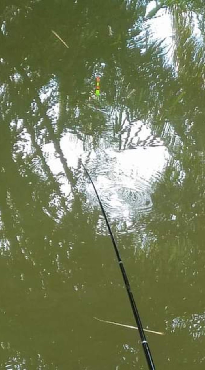 狂熱野釣魂
