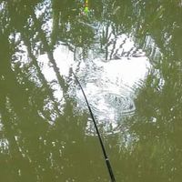 狂熱野釣魂