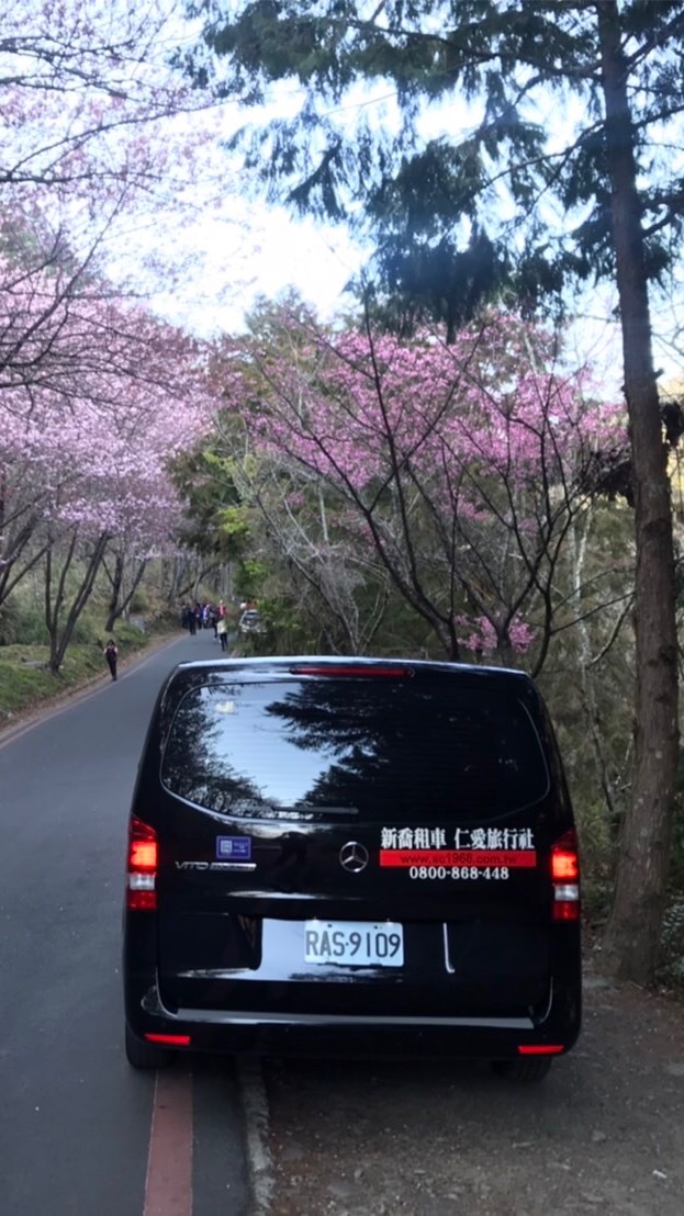 新喬租車歡喜相揪來憩陶