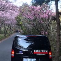 新喬租車歡喜相揪來憩陶