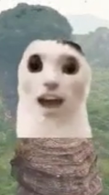 病毒疣🫧