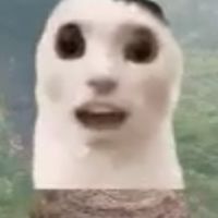 病毒疣🫧