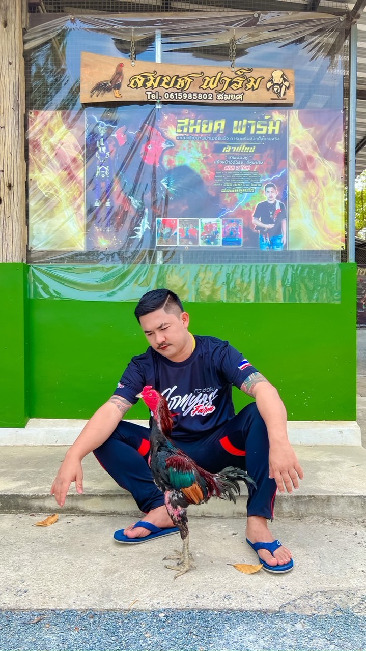 กลุ่มอัพเดทฝากผสมสมยศฟาร์ม