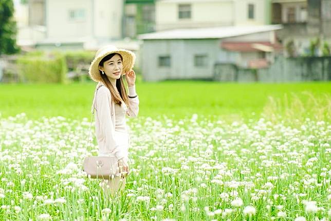 ▲彰化田中韭菜花田（圖/IG@shilinfan）