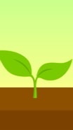 Forest plant อนส.กันค่า