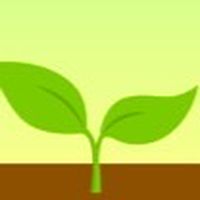 Forest plant อนส.กันค่า