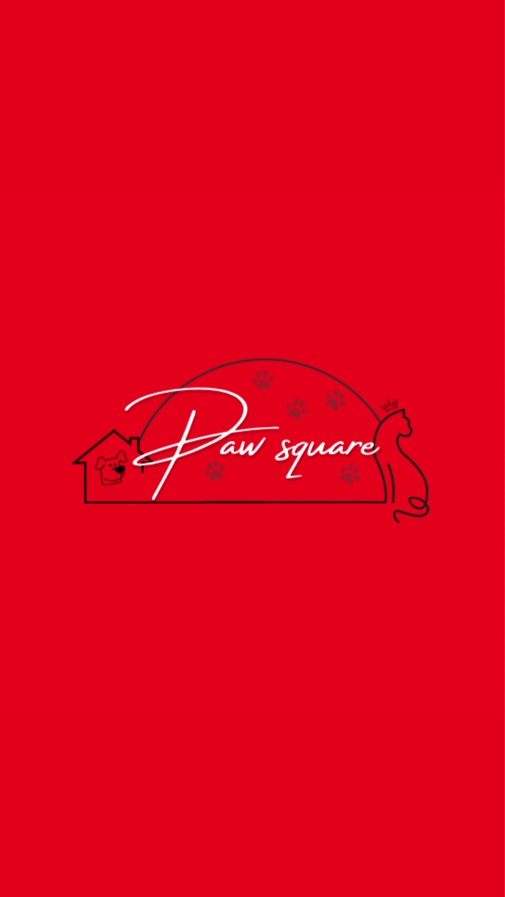 จัตุรัสหมาแมว (Paw Square)