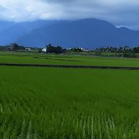 十全國小家長的小小交流天地