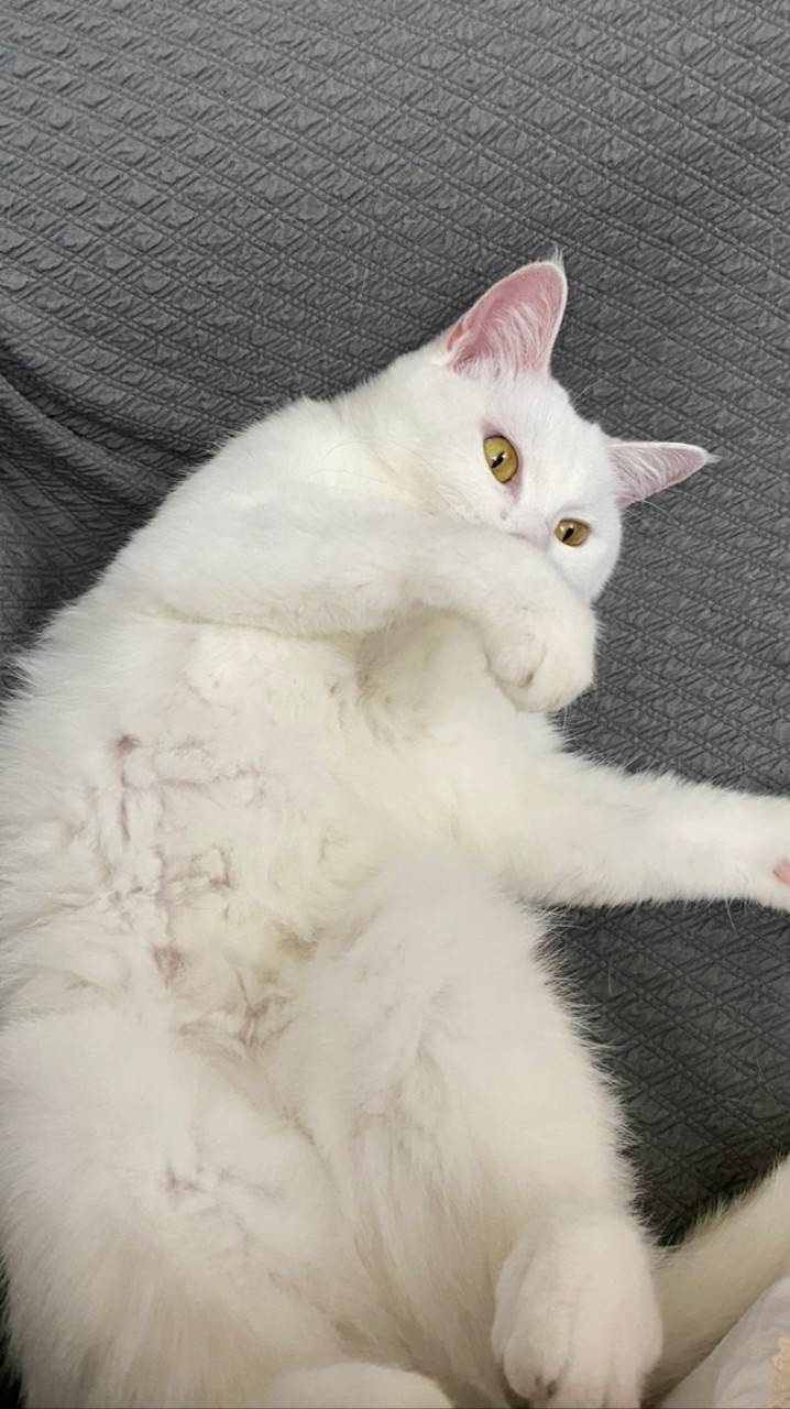 秘密頻道-鬧鬼雜貨店