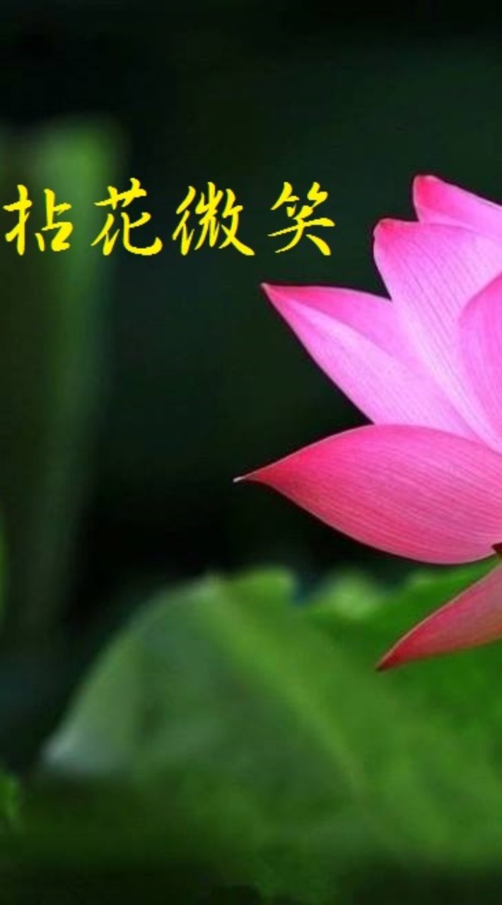 活在當下