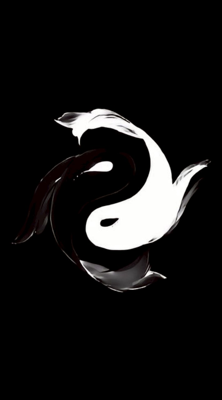 白色衣服 - 魔法世界