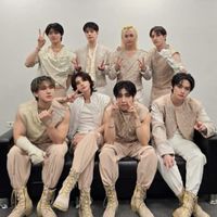 stray kids 11/3 影片交流