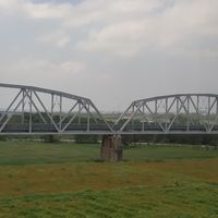 SG-高屏跳蚤環保家…