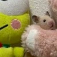 オハヨーカイヒーロー