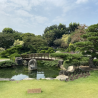 以為來到日本！彰化超強庭院、賞花景點推薦，還有全台首創白色波波草