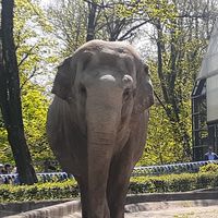 32歳の集まり