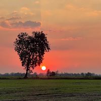 สตอรี่ชาวนา🌾