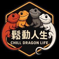 鬆動人生