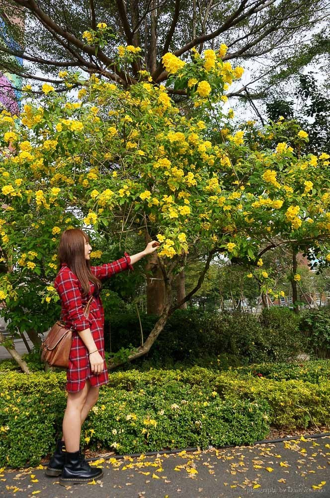 Asia University, 台中景點, 霧峰景點, 羅馬競技場, 圓頂建築, 安藤忠雄設計, 婚紗地點