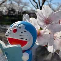 妞媽衝日本｜日本旅行分享｜日本好物分享/代購｜限時迪士尼商品許願