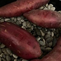 体重きになる？