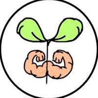林口、龜山運動幼兒教育