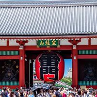 5/17-5/20日本東京代購群