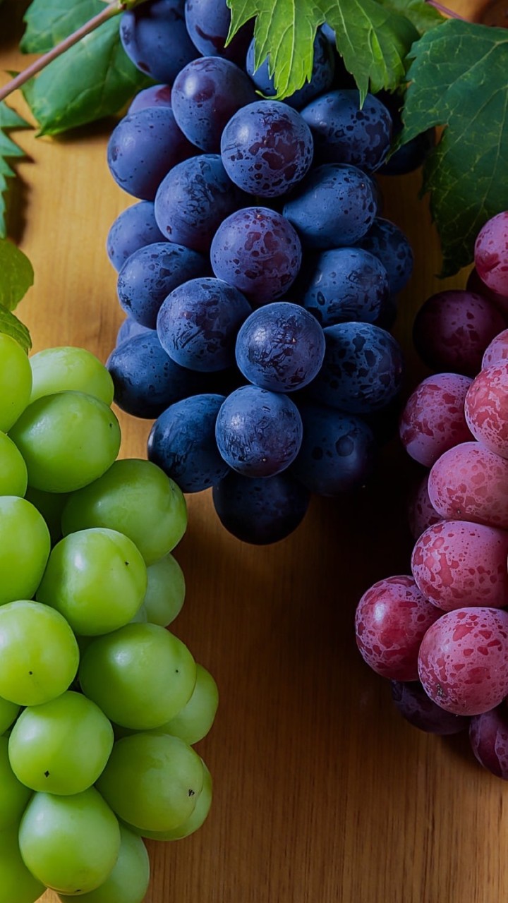 〖🍇九州🏠沖縄🍇〗30代40代50代🍇ライブトーク🍇楽しい雑談＆素敵なオフ会🍇