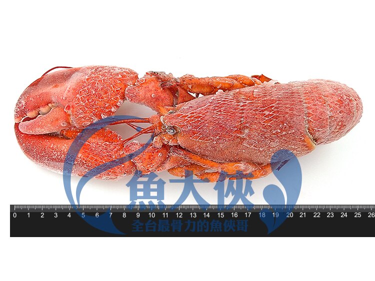 B3【魚大俠】SP065熟凍波士頓龍蝦(350~400g/隻)