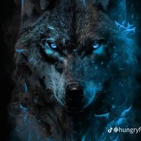 กลุ่มหมาป่าเดียวดาย🐺