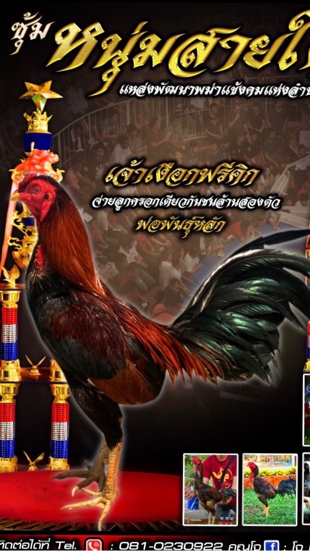 ซุ้ม หนุ่มสายใต้/ซุ้ม ส.แสงดาว