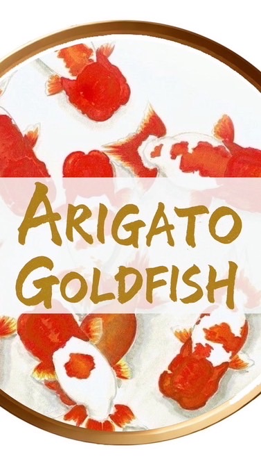 ARIGATO GOLDFISH