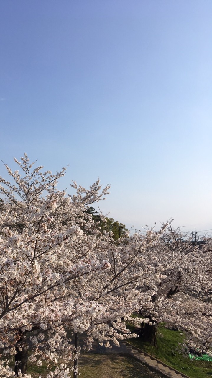 ネットワークビジネスって大丈夫？