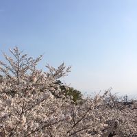 ネットワークビジネスって大丈夫？