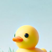 🐤鴨霸🐤