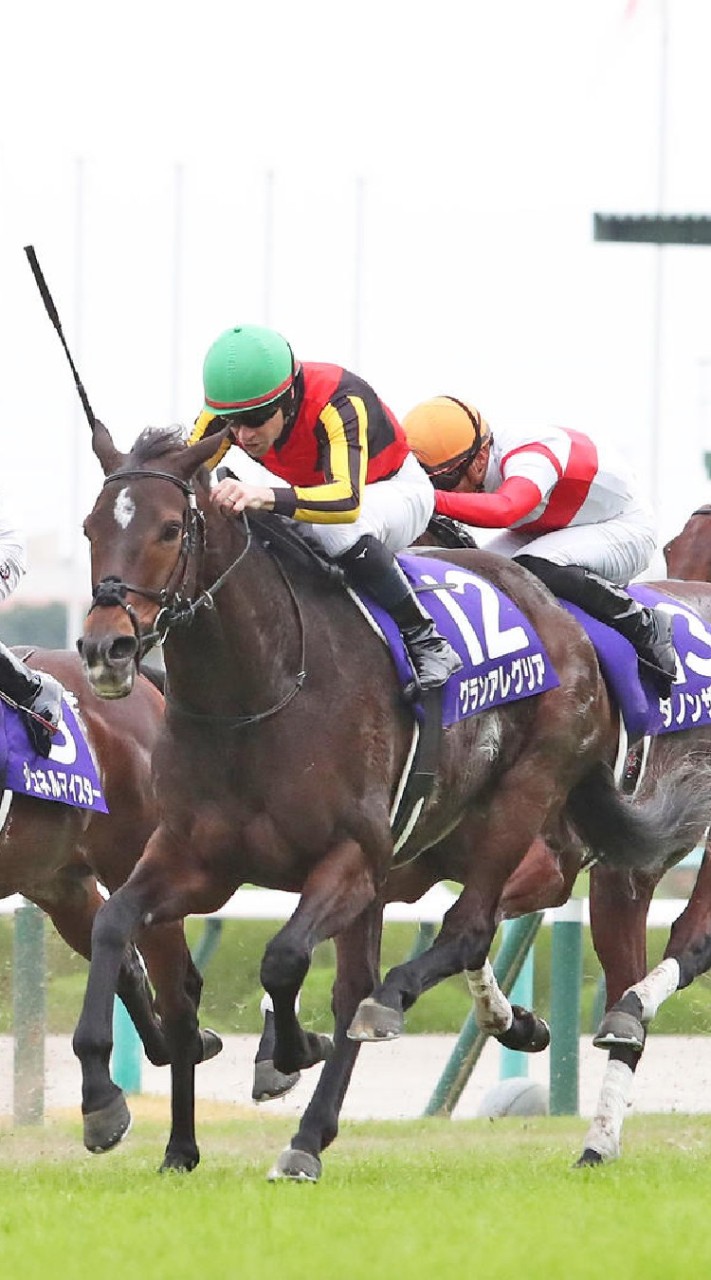 OpenChat 新･競馬好きの集まる馬所